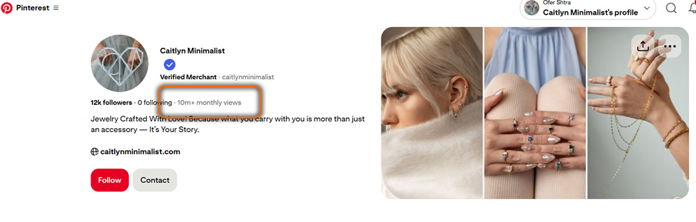 A screenshot of a high-traffic Etsy shop showing successful Pinterest visitor statistics.